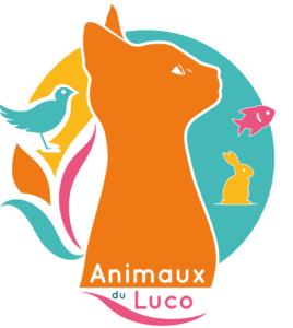 Animaux du Luco - Garde de chat à Paris 6 et arrondissements voisns